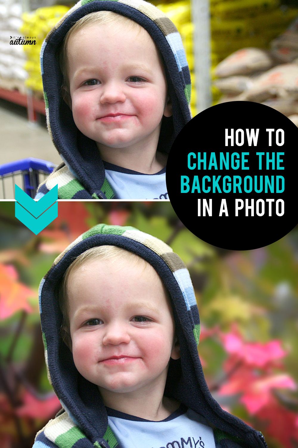 How to Change the Background in Your Photo