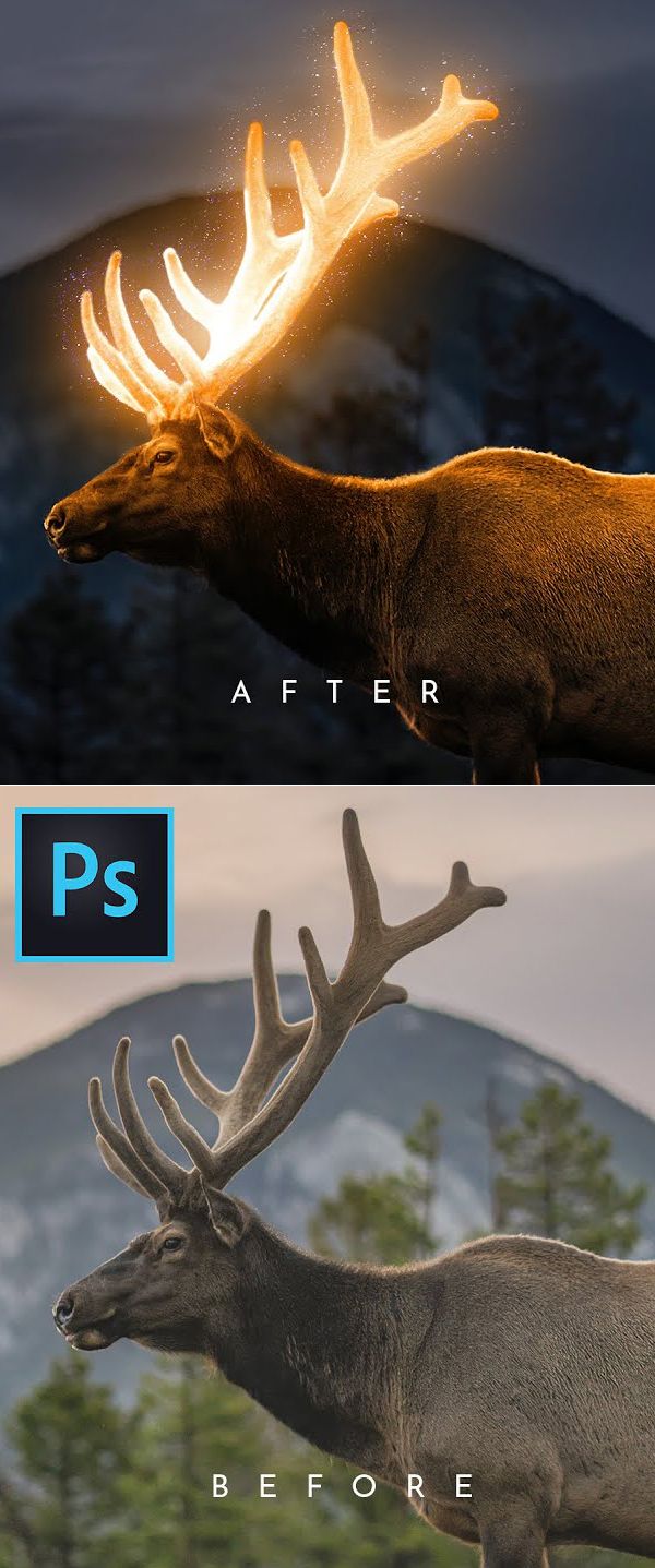 Photoshop Tutorials: 30 New Tutorials to Learn Retouching and Manipulation Tricks | | Graphic Design Junction