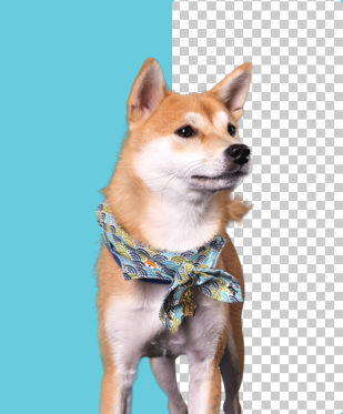 Free Background Remover, Remove BG From Images Using AI – Pngtree