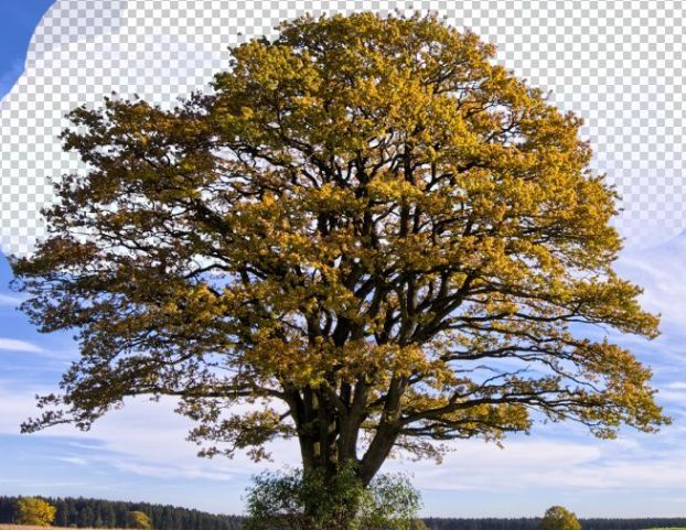 Quick Tip: Erase Backgrounds Quickly With The Background Eraser Tool – Photoshop Tutorials