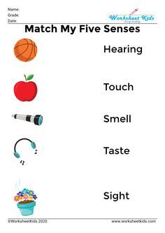 Five senses for kids | Activities & Worksheet | Preschool | Kindergarten – Worksheets kids