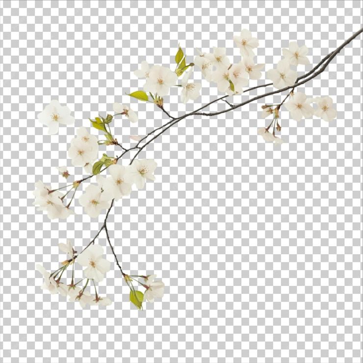 Flower arrangement PSD, High Quality Free PSD Templates for Download | Freepik