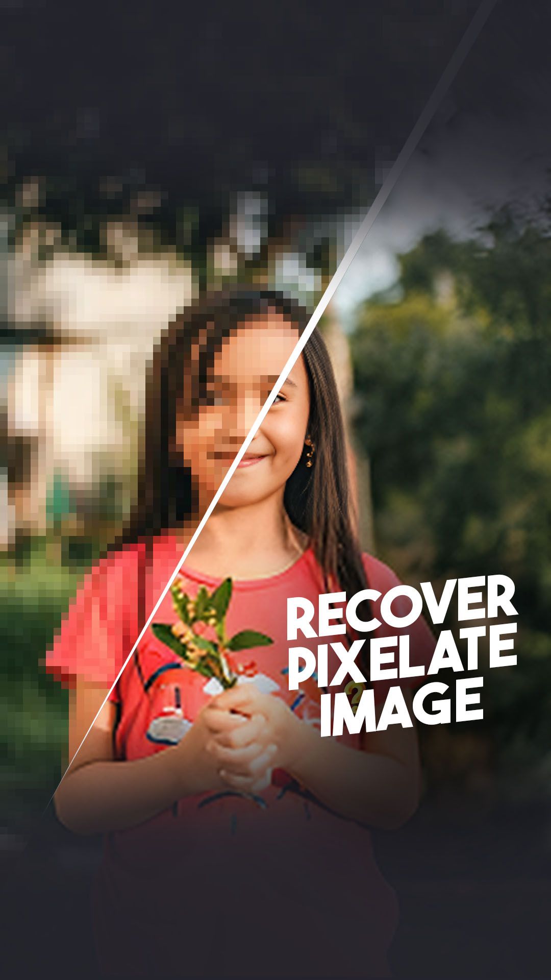 fix pixelated image online free | Sphotoedit