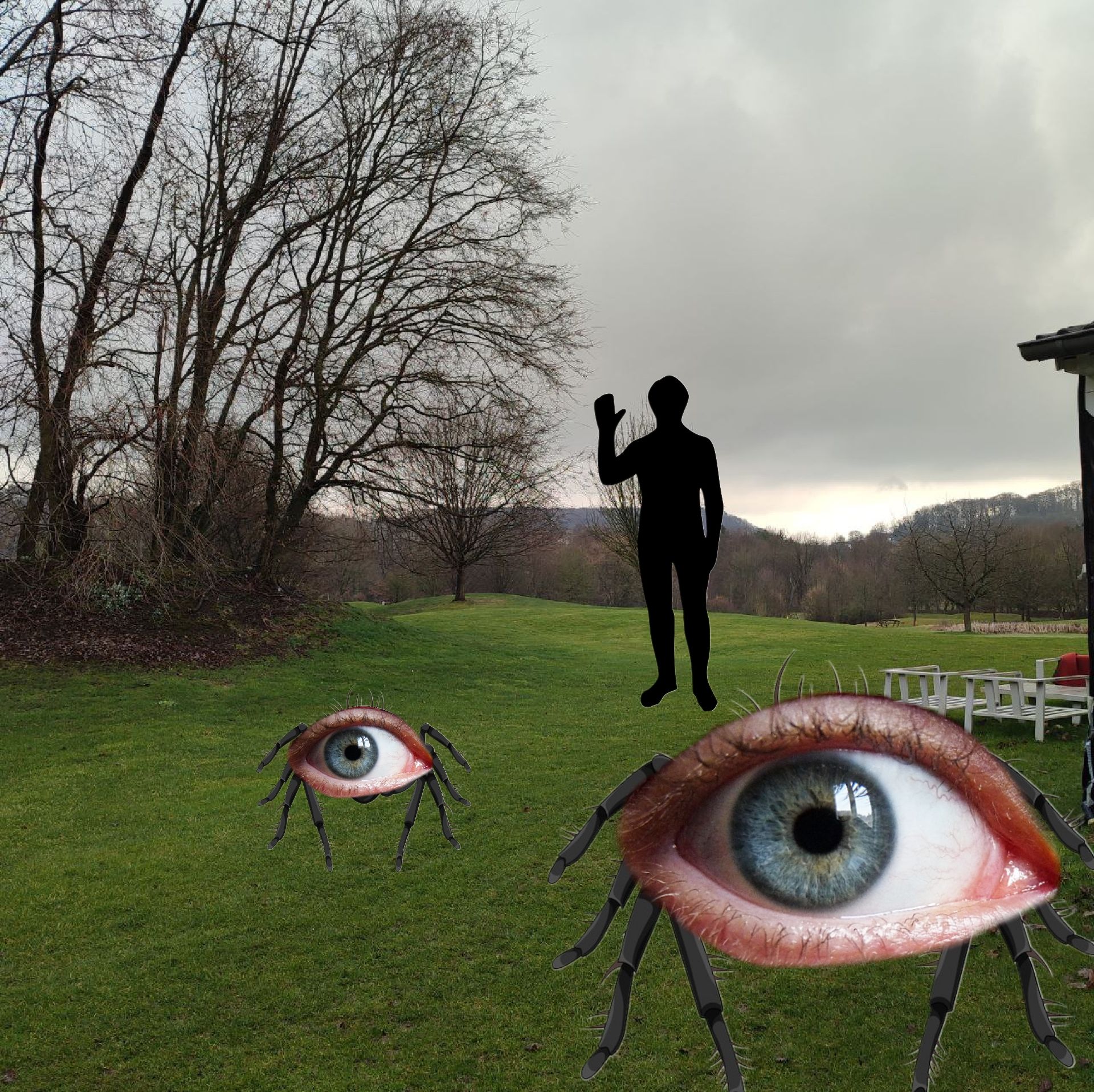 Sometimes dream was real…