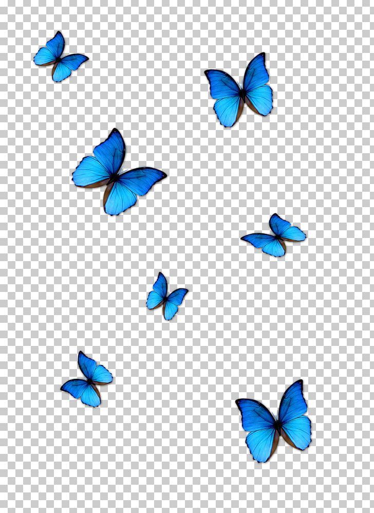 Butterfly Blue Phengaris Alcon PNG