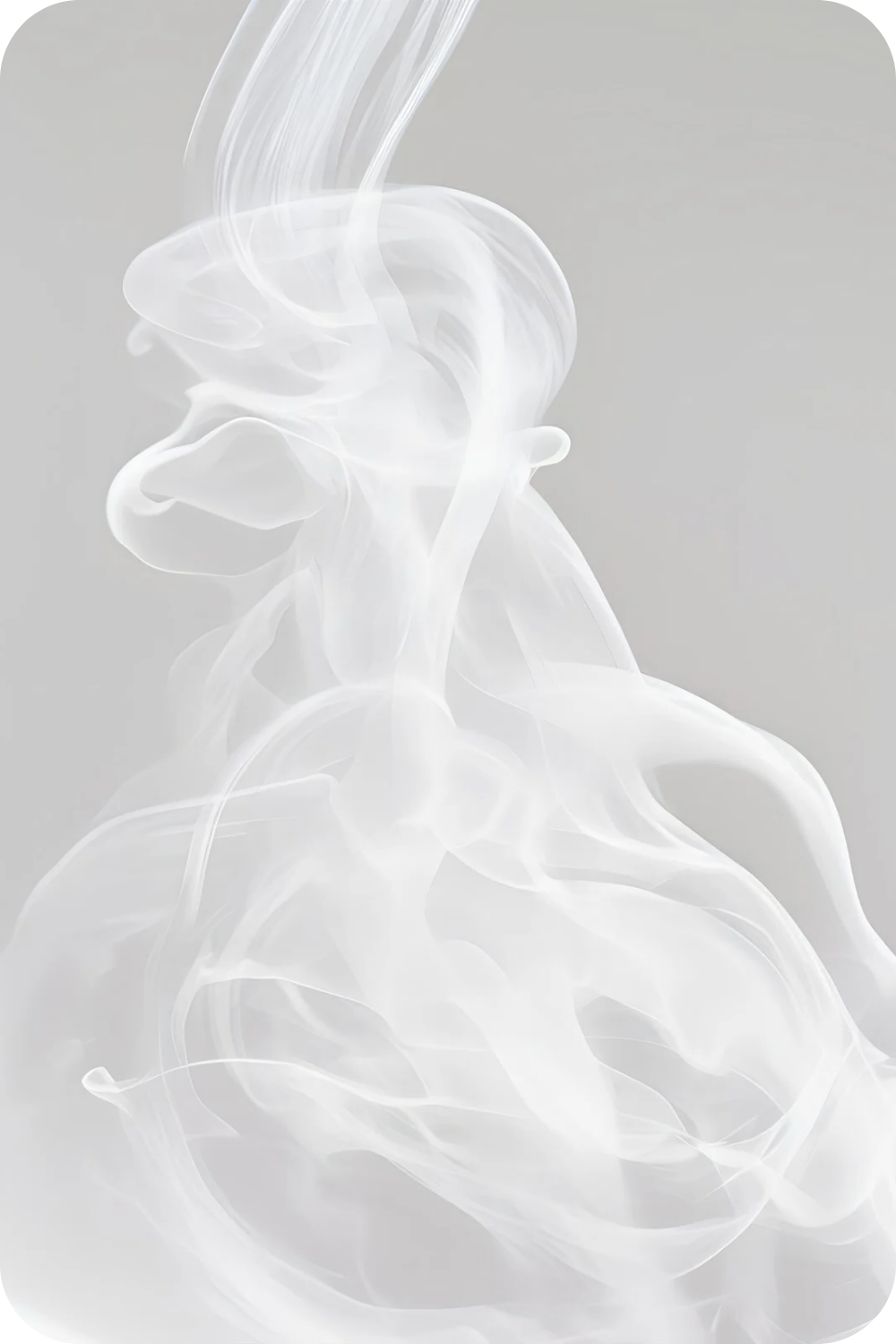 white 🤍 background