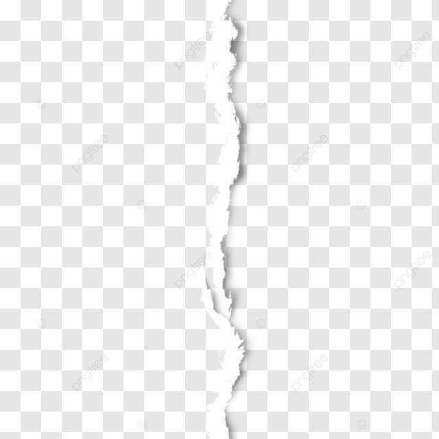 Vertical Ripped Paper With Shadow, Ripped Paper, White Ripped Paper, Ripped PNG Transparent Clipart Image and PSD File for Free Download
