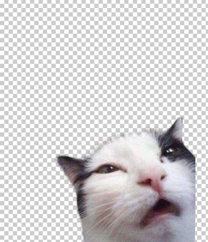 IMGBIN.com – Download Transparent PNG Images, For Free