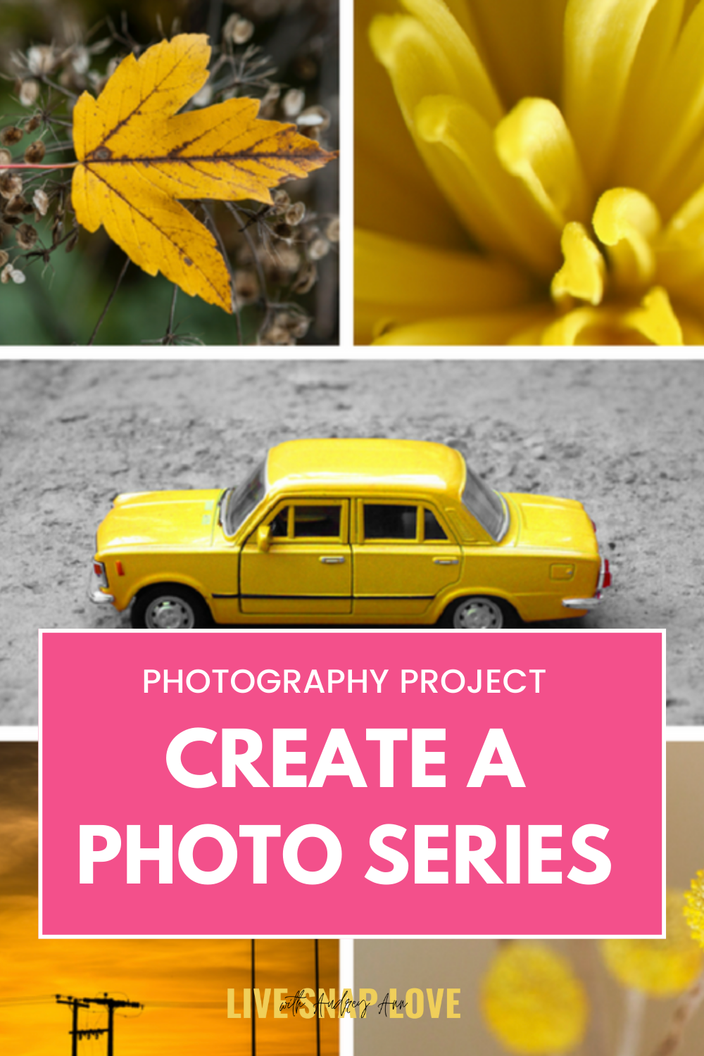 Photography Project: Create A Photo Series