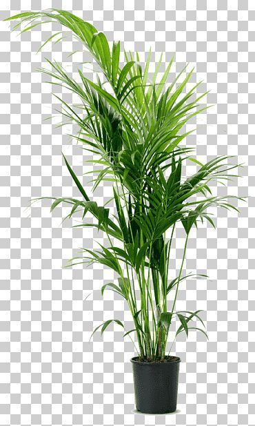 I will photo background removal,remove object and clipping path service within 24 hours