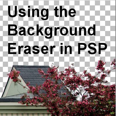 The Background Eraser in PaintShop Pro | Scrapbook Campus