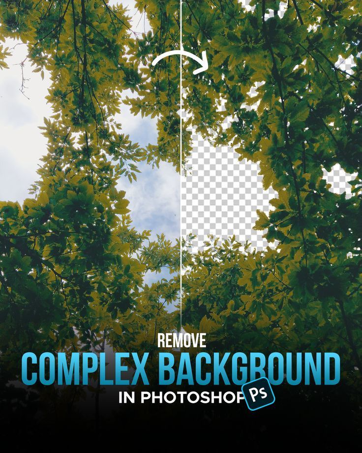 How to Remove Complex Background in Photoshop