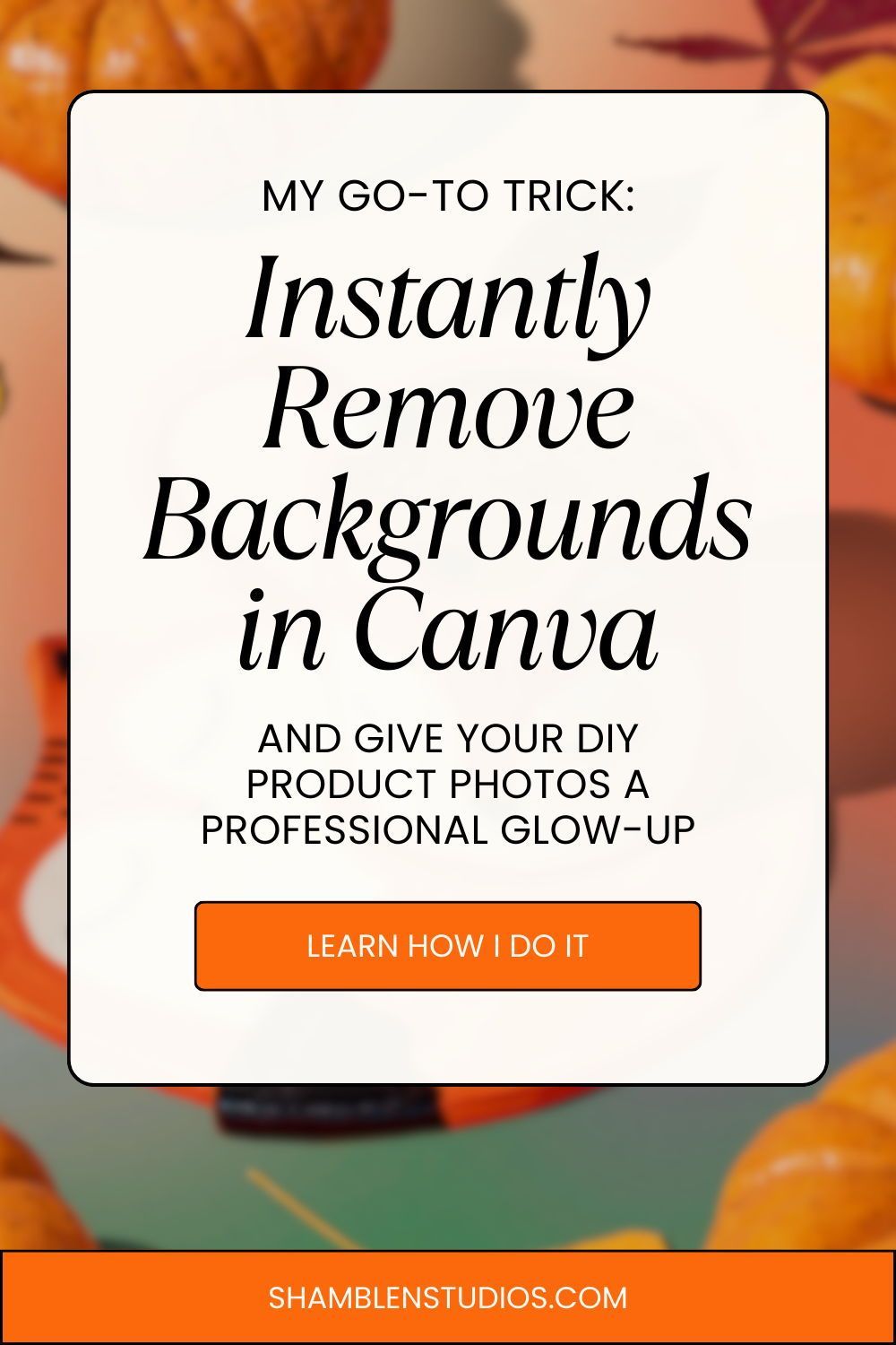 How to Make Background-Free Images in Canva