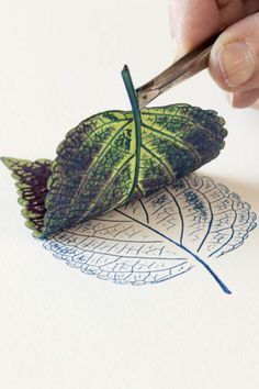 Printing with Leaves and Other Natural Objects