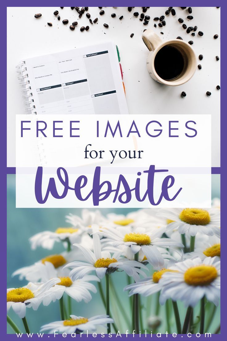 Where To Get Quality Stock Photos for Free