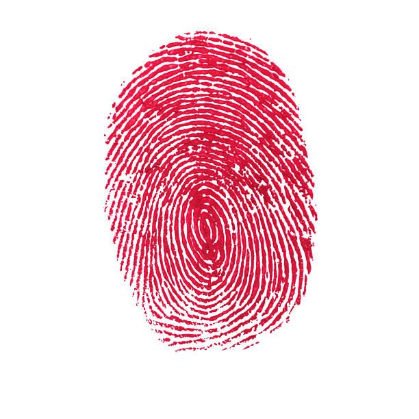 5.400+ Fingerprint Art fotos de stock, imagens e fotos royalty-free – iStock