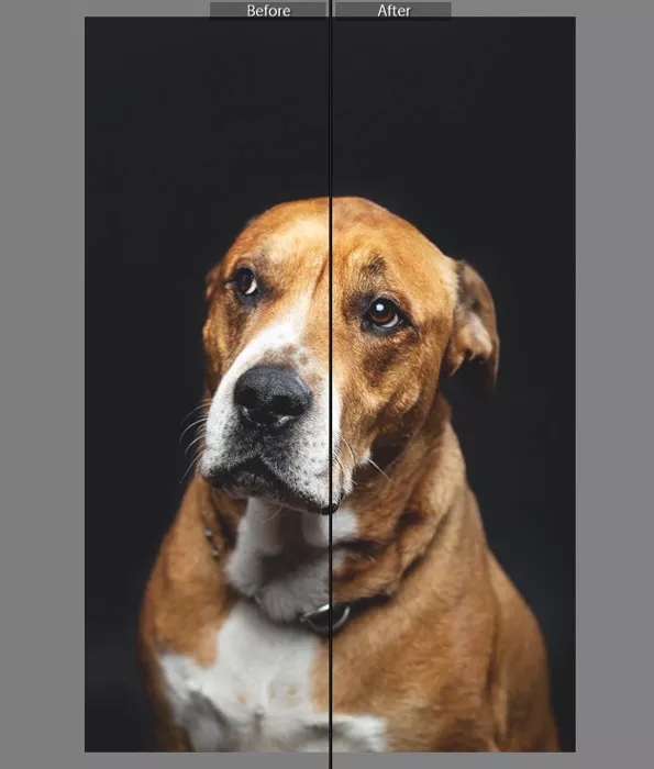 How to Easily Sharpen and Fix Blurry Photos in Lightroom