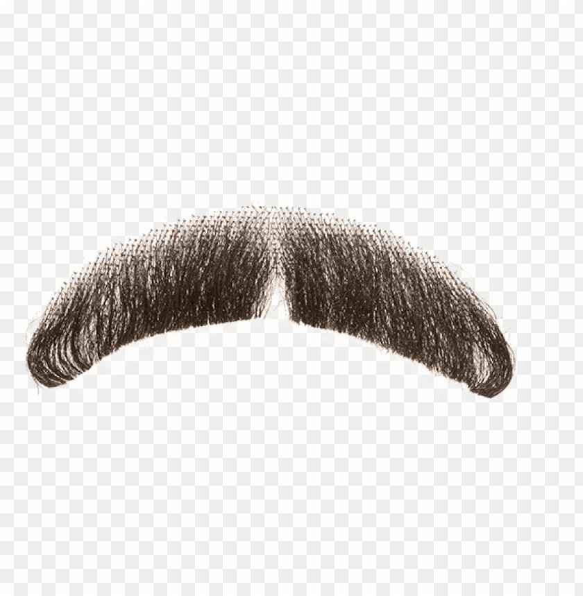 Stylish Fake Mustache PNG – Trendy Beard Image with Clear Background | TopPNG