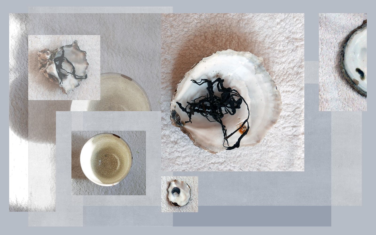 Label of the month: Posh Isolation · Feature ⟋ RA