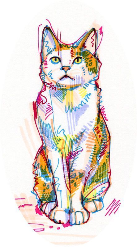 10 Charming Cat Drawing Sketches That Will Captivate You