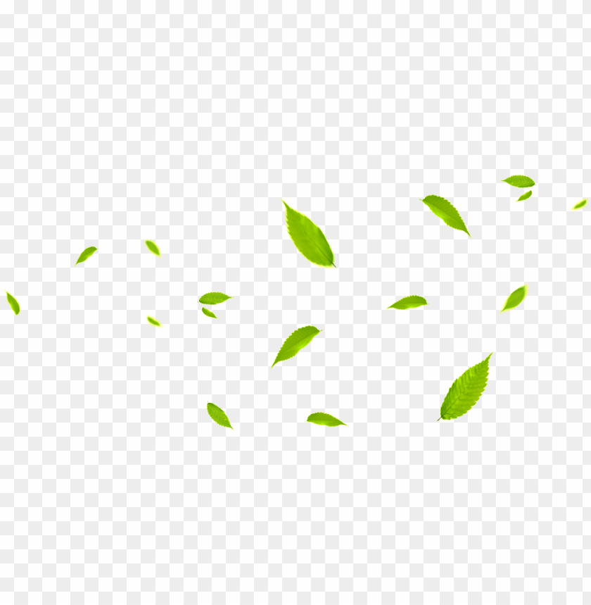 De Folha De Folha Verde – Leaves Fly PNG Transparent With Clear Background ID 248378 | TopPNG