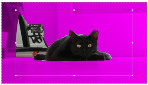 6 Easy Tools to Remove the Background From a Picture