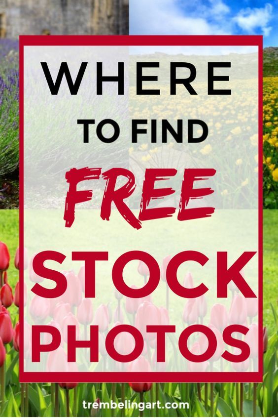 8 Great Sites With Beautiful Free Stock Photos