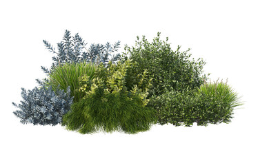 Flower Branch On A Transparent Background – Images et vidéos libres de droits