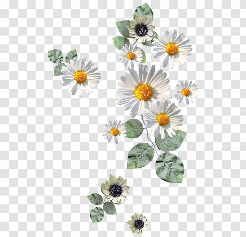 Flower Paper Drawing Icon – Arranging – Antique Jewelry Decorative Vector Transparent PNG