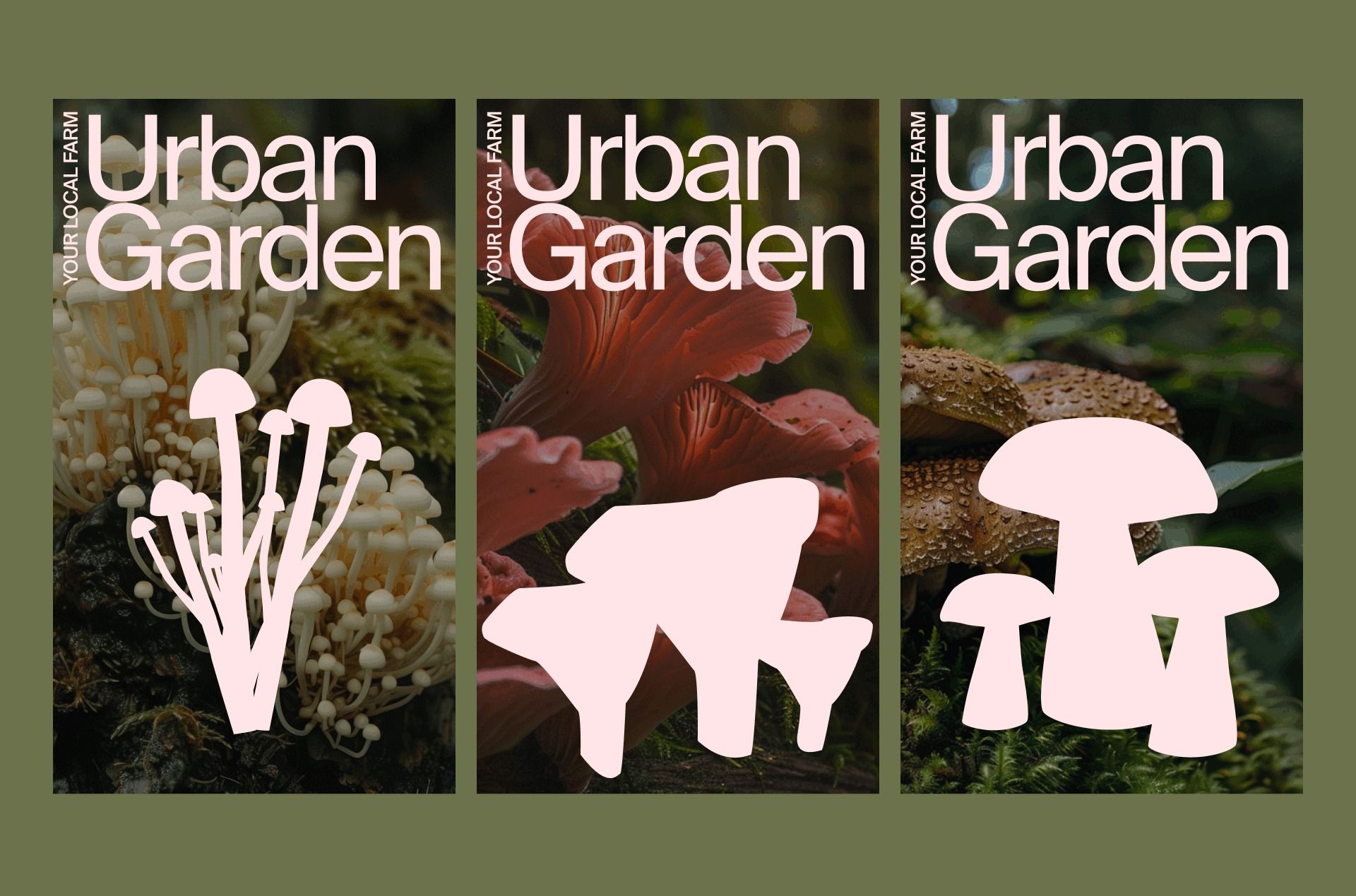 Urban Garden: Website for Rare Edible Mushrooms