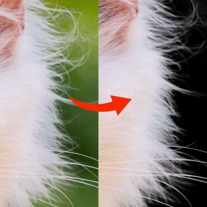 Smart Graphics on Instagram: “How to Remove background in Photoshop” [Video]