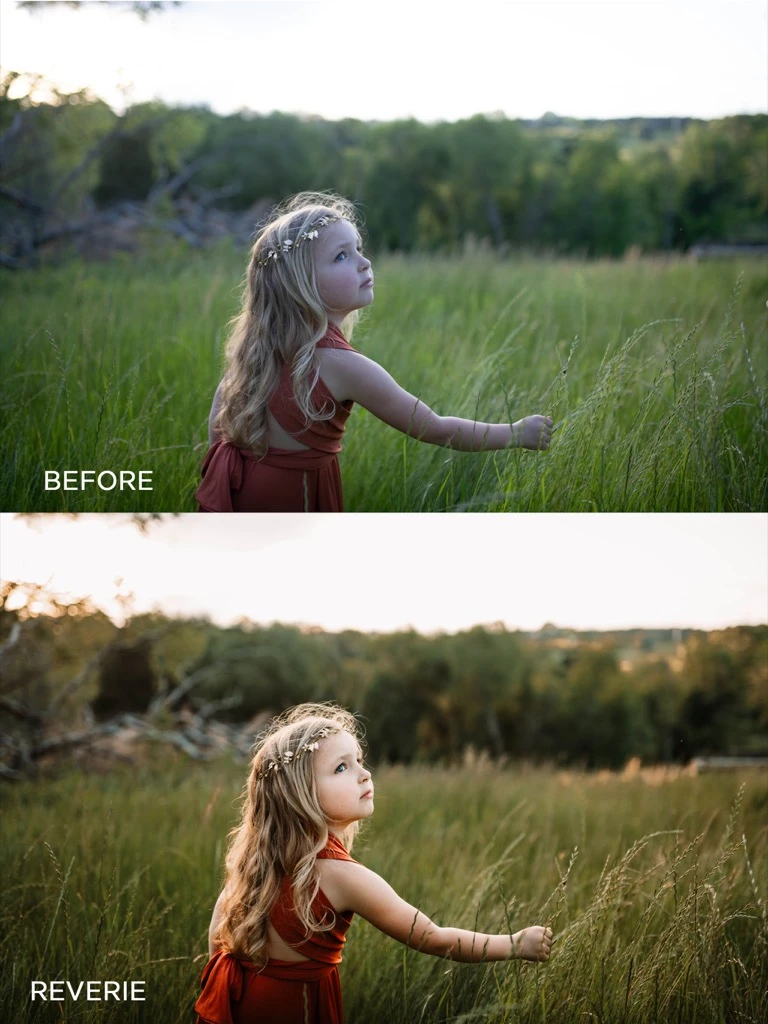 4 Essential Lightroom Questions Answered