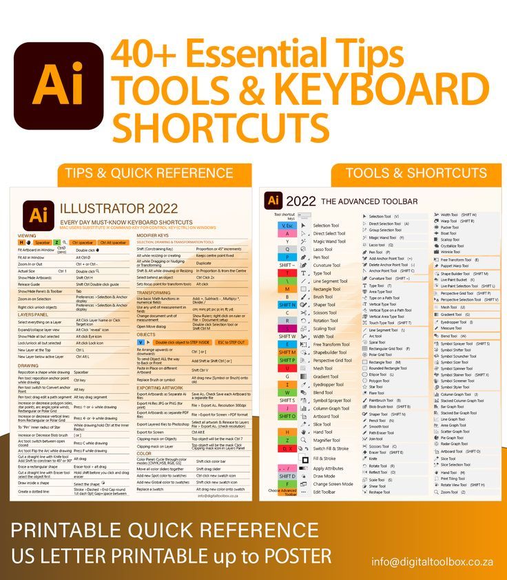 Illustrator 2022 Vector  Tool Reference, Tips & Shortcuts