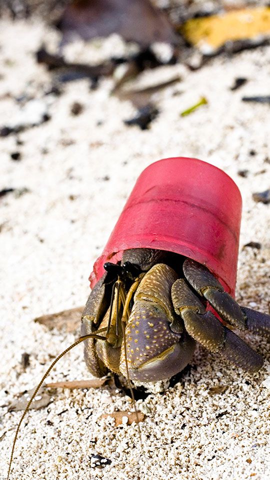 Innovation Springs from the Unexpected Meeting of Minds