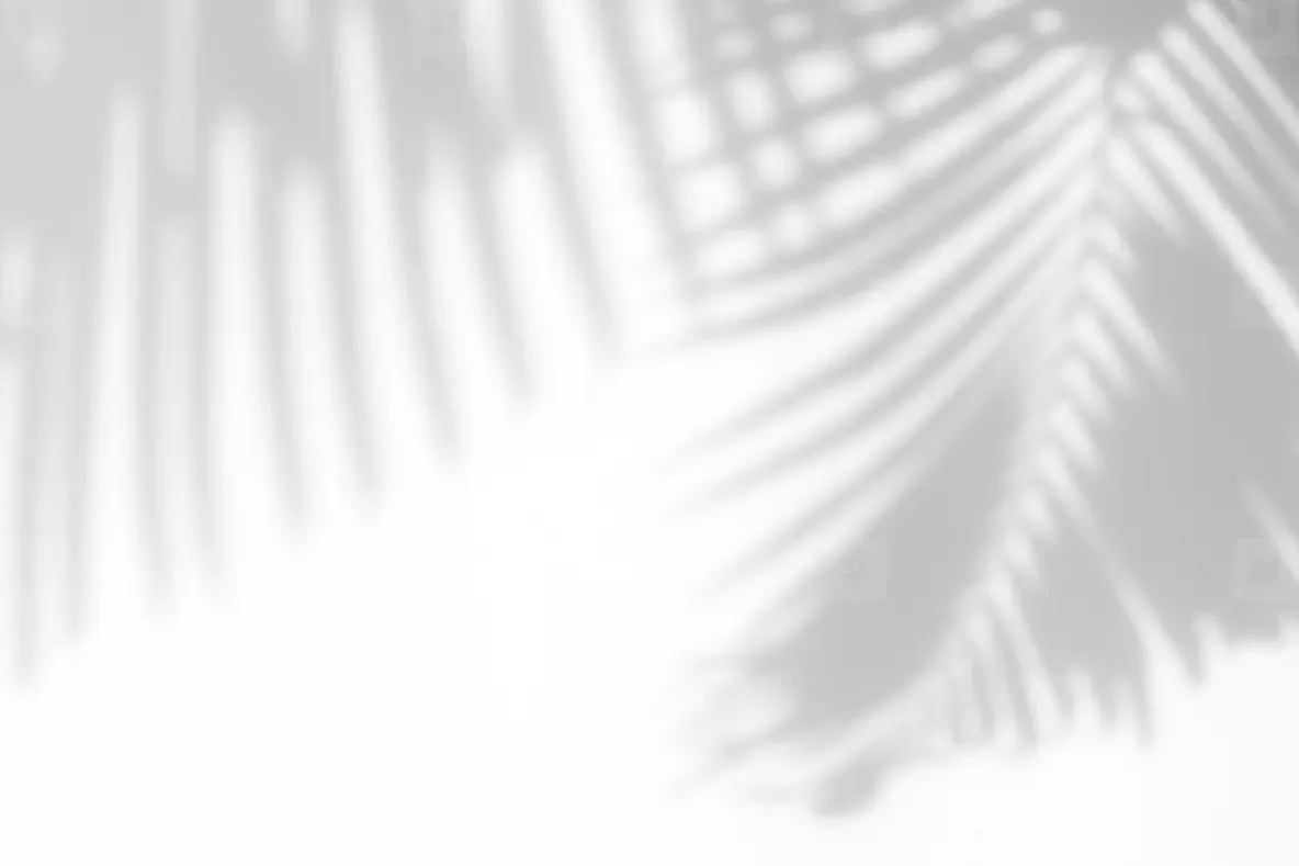 Abstract Leaves Natural Shadow Overlay On White Texture Backgrou Photo