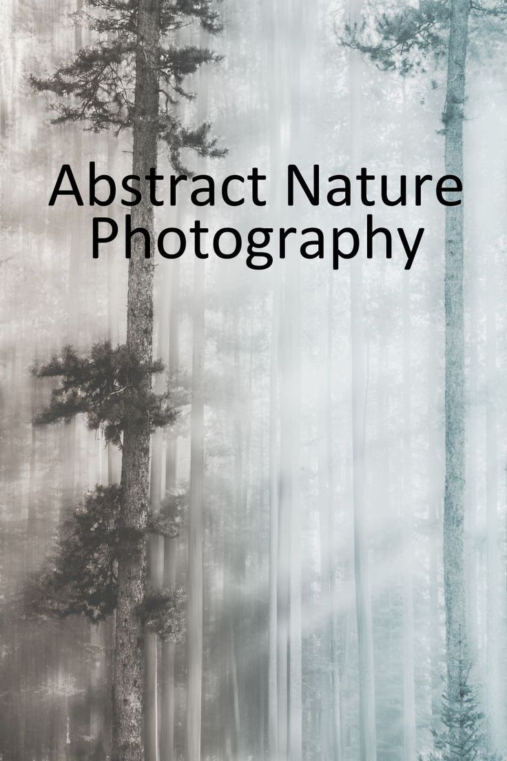 What Is Abstract Nature Photography