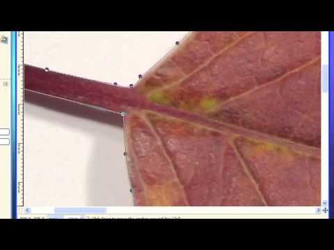 Gimp – isolating objects