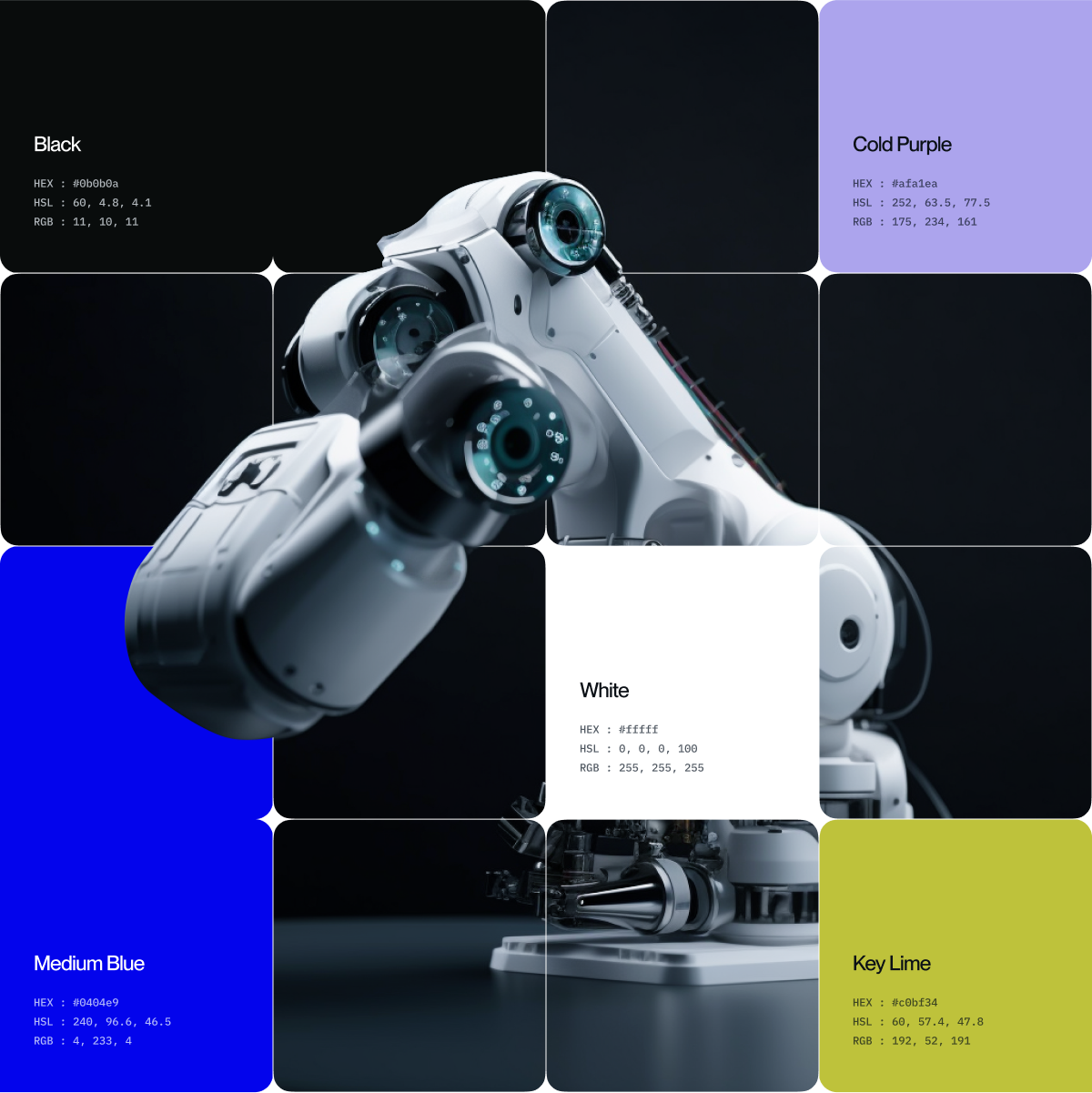 Kinetica Brand Design