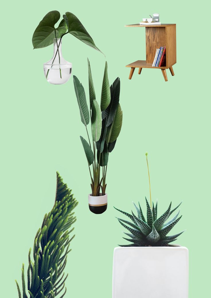 Background Removal Service