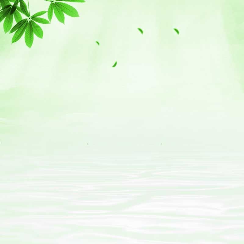 Fundo Fresh Nature Green Leaves Stone Background Cosmetics Fundo, Natureza Fresca, Folhas Verdes, Stone Background Imagem de plano de fundo para download gratuito