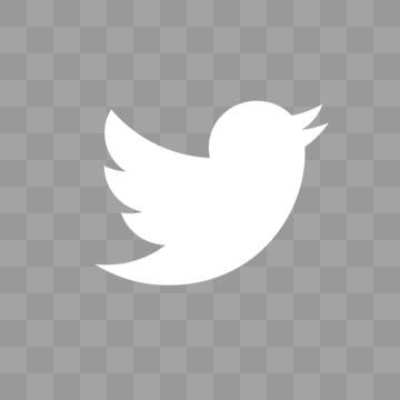 Twitter PNG Transparent Images Free Download | Vector Files | Pngtree