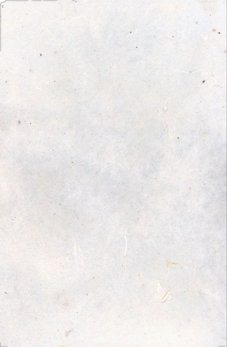 High Quality White Background Instagram Stories HD Wallpaper