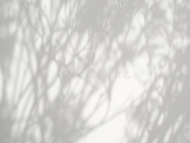 Abstract shadow of leaves on a white wall royalty free stock images