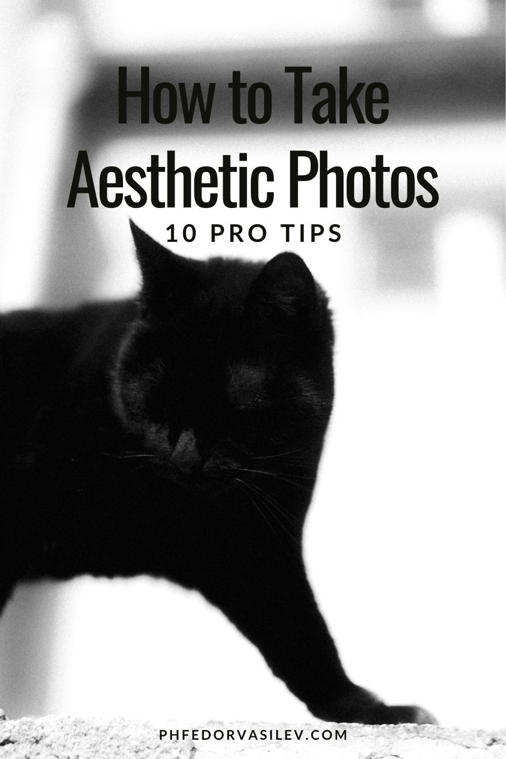 How to Take Aesthetic Photos: 10 Tips for Stunning Shots