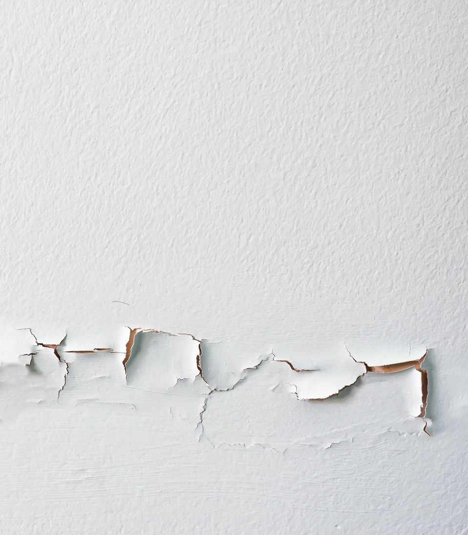 Solved! What Are the Signs of Water Damage in Walls, and What Should I Do About Them?