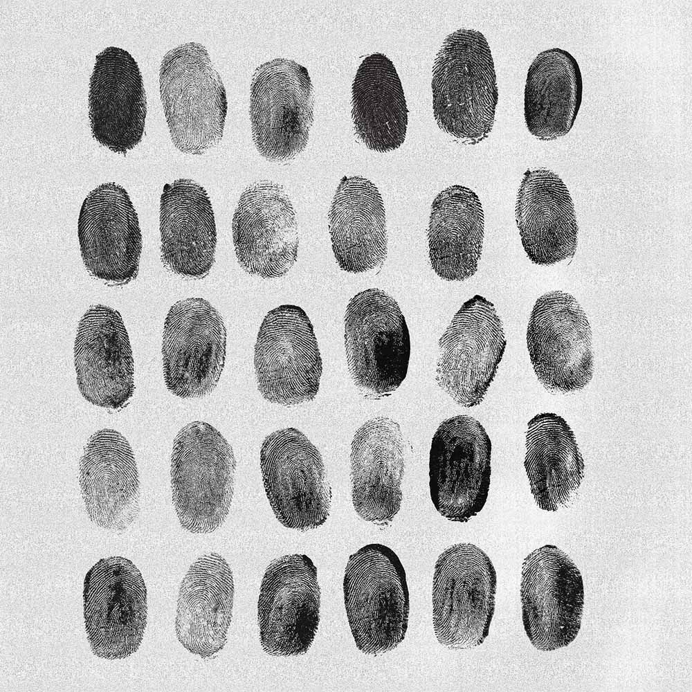 [FREE] Download MEGA Design Asset Bundle .ZIP file