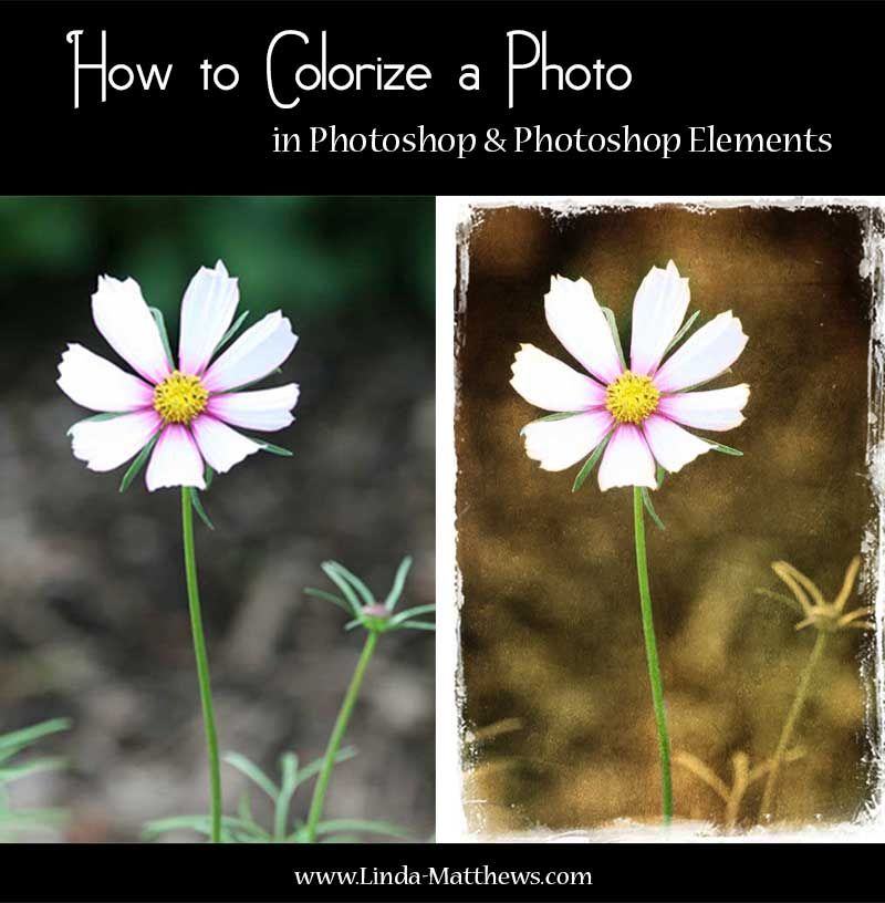 How to Colorize a Photo in Photoshop & Photoshop Elements