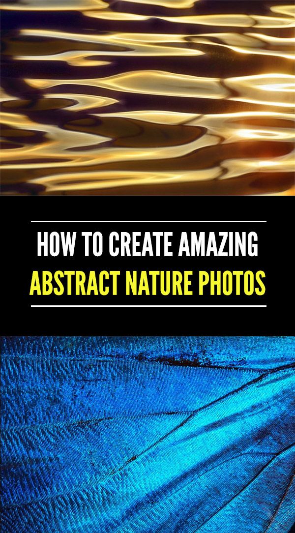 Shooting Beautiful Abstract Nature Photography with Examples
