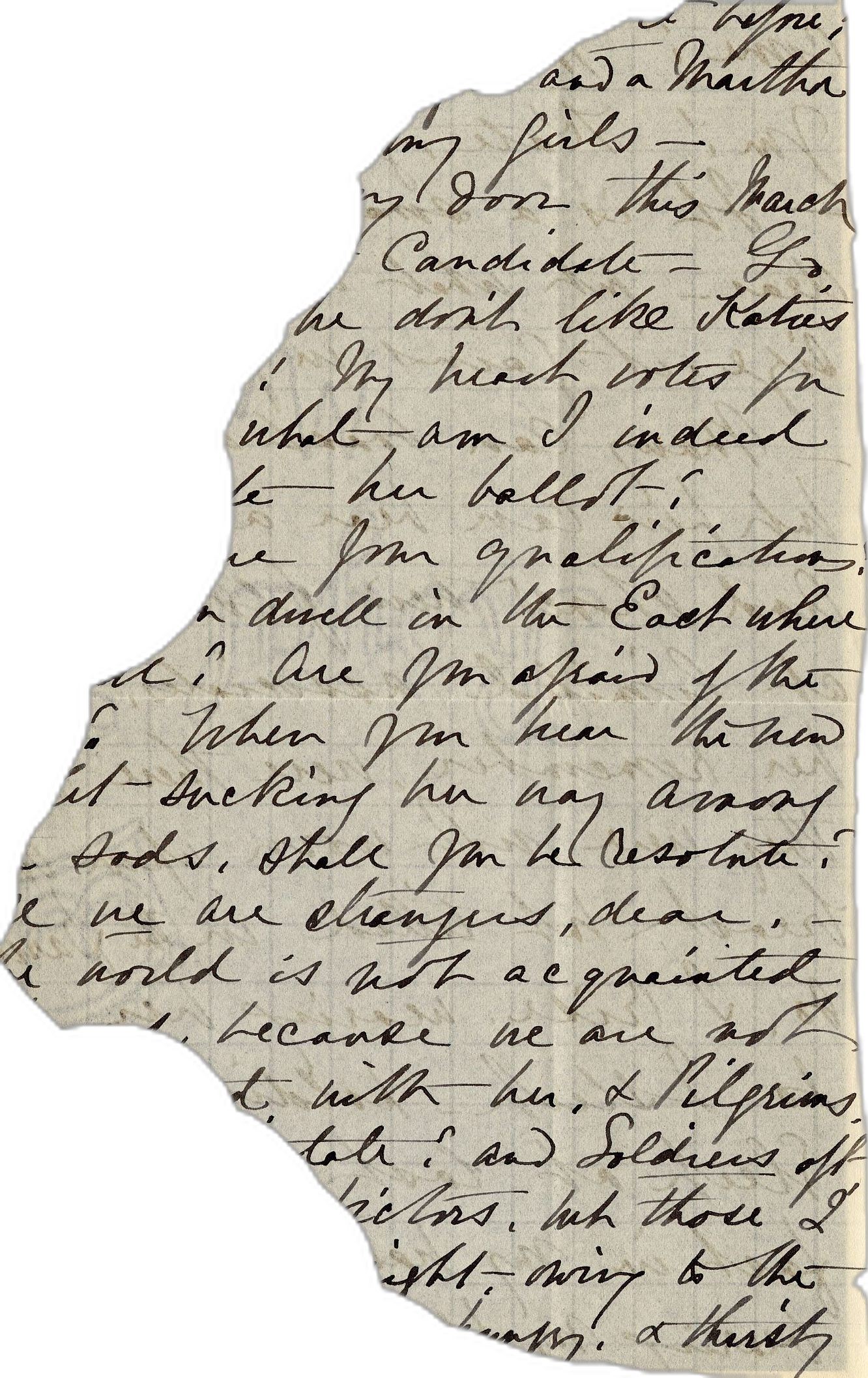 sticker journal png | A New Dickinson Daguerreotype? | Emily Dickinson at Amherst College