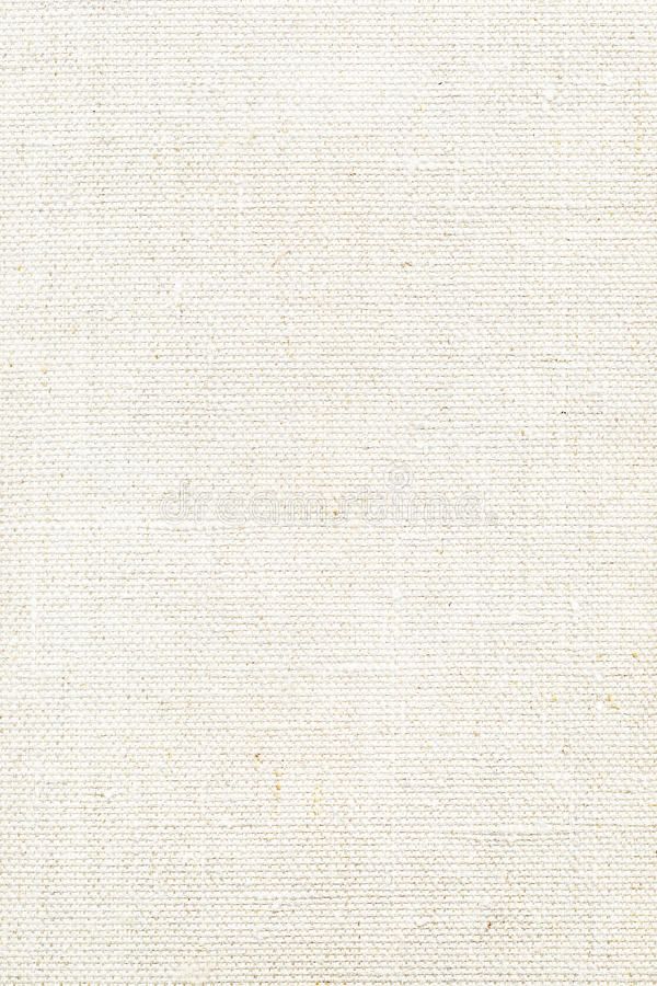 White canvas texture stock photo. Image of fiber, ragged – 12559396